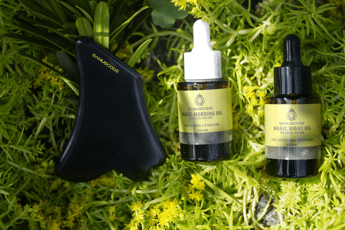 facial gua sha stone and oil set lay on green leaves with light shine on bottle